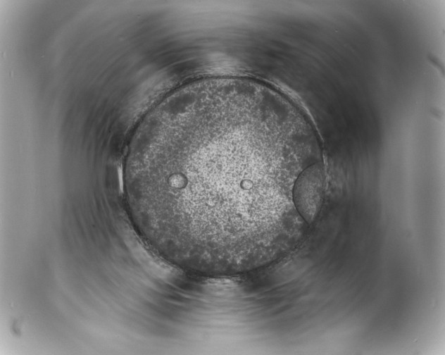 X0000102220061200808151715