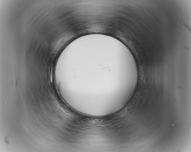 X0000102220062200808151715