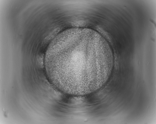 X0000102220065200808151715