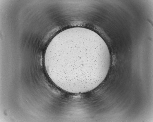 X0000102220068200808151715