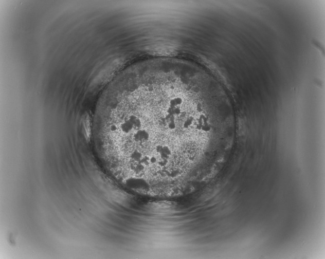 X0000102220069200808151715