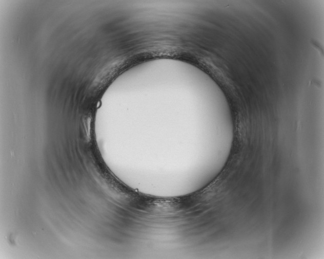 X0000102220070200808151715