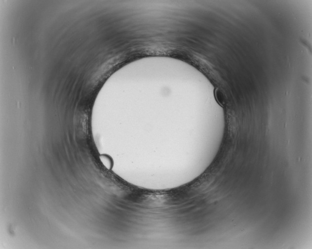 X0000102220071200808151715