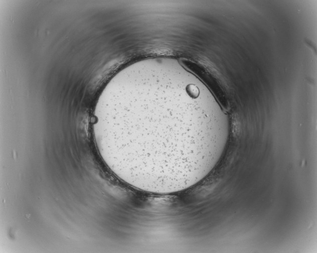 X0000102220072200808151715