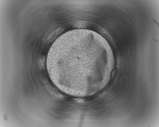 X0000102220073200808151715