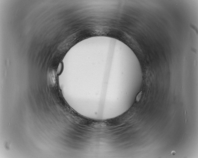 X0000102220075200808151715