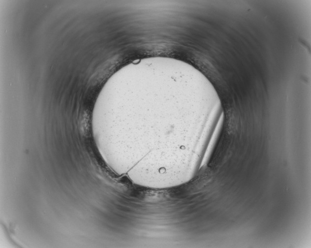 X0000102220077200808151715