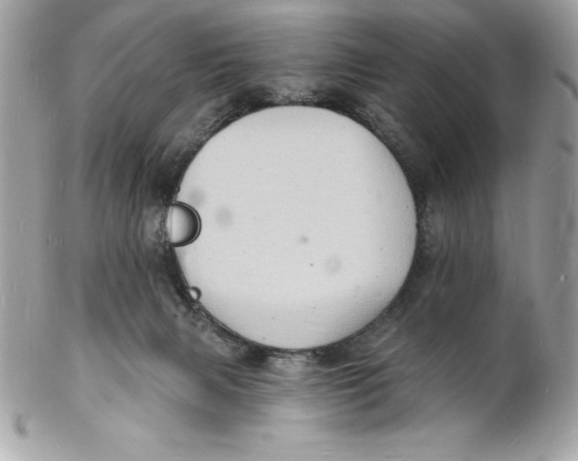 X0000102220079200808151715