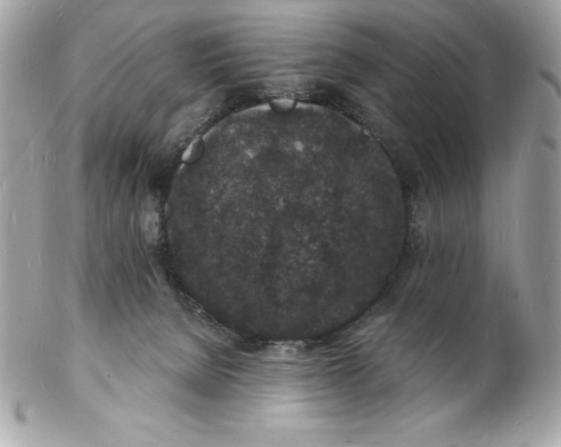 X0000102220080200808151715