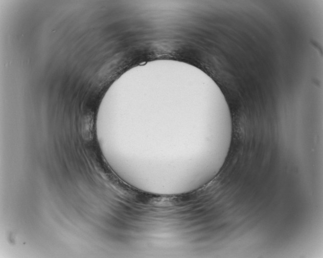 X0000102220082200808151715