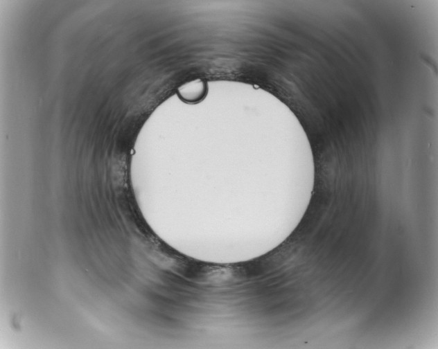 X0000102220083200808151715