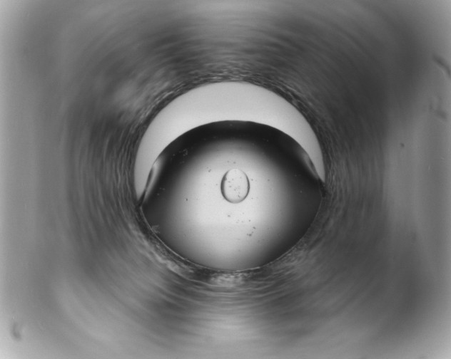 X0000102220084200808151716