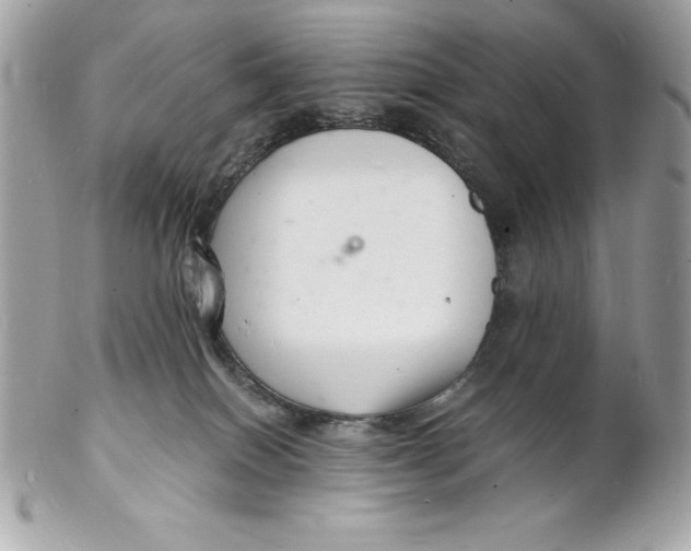 X0000102220086200808151716