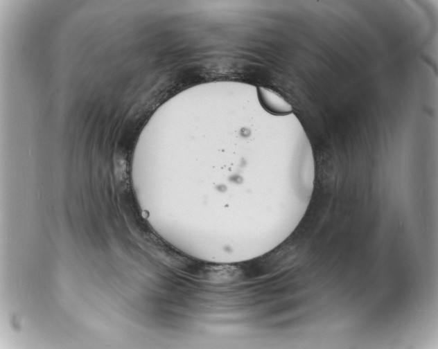 X0000102220087200808151716