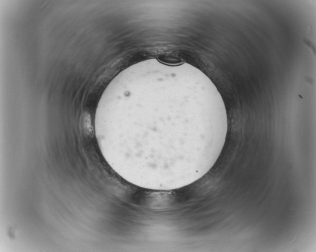 X0000102220089200808151716