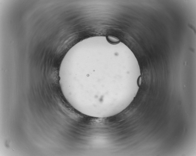 X0000102220092200808151716