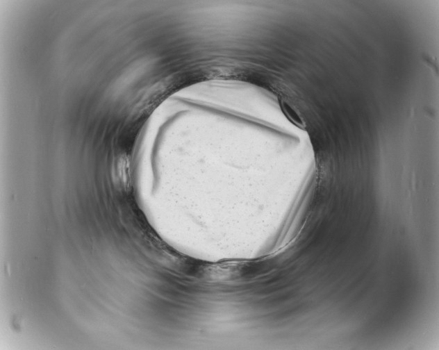 X0000102220094200808151716