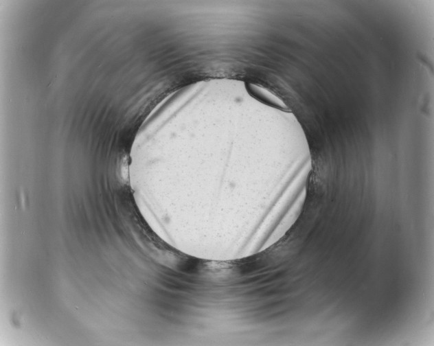 X0000102220095200808151716