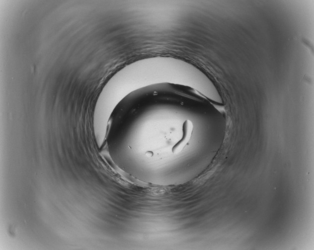 X0000102220096200808151716