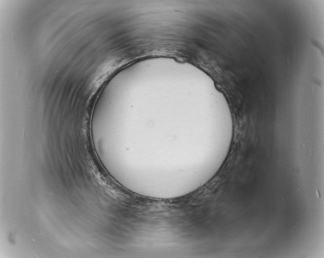 X0000102220098200808151715