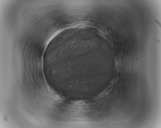 X0000102220100200808151715