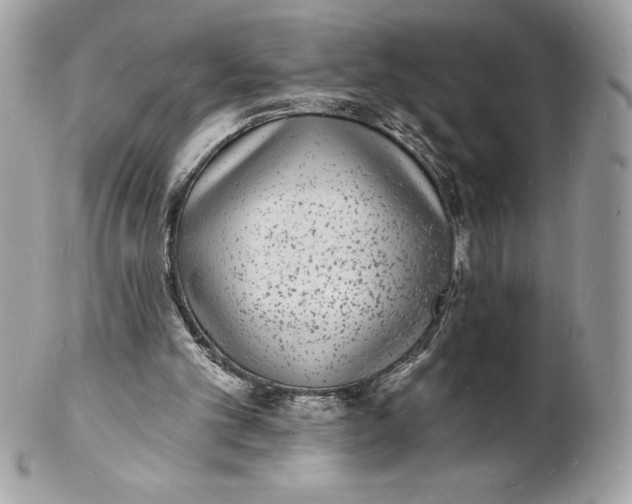 X0000102220101200808151715