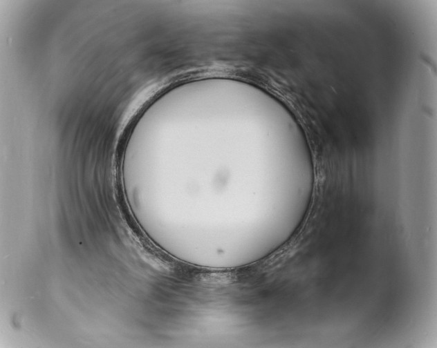 X0000102220102200808151715