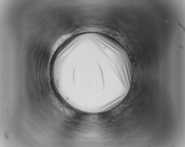 X0000102220104200808151715