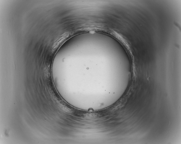 X0000102220105200808151715