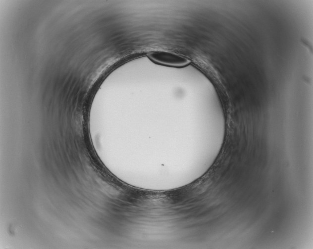 X0000102220108200808151715