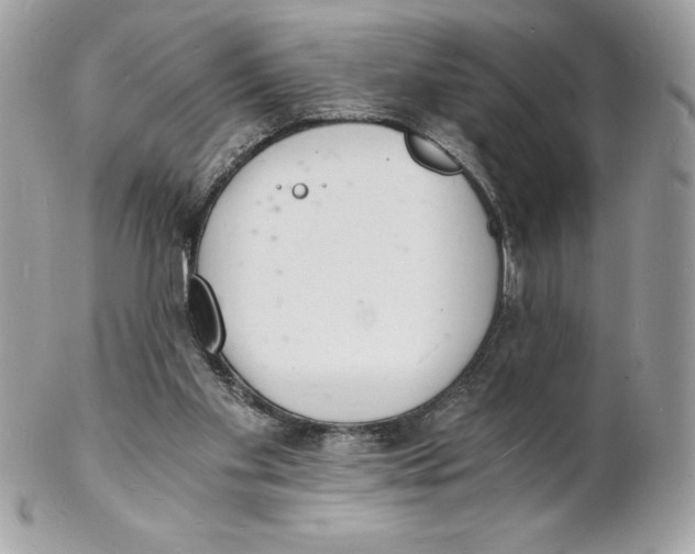 X0000102220109200808151715