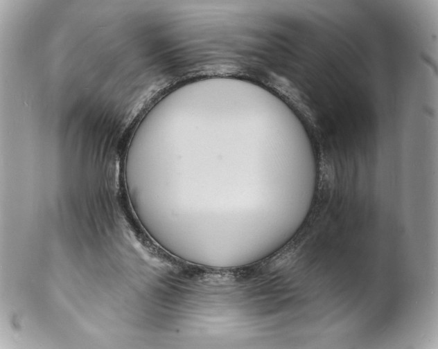 X0000102220110200808151715