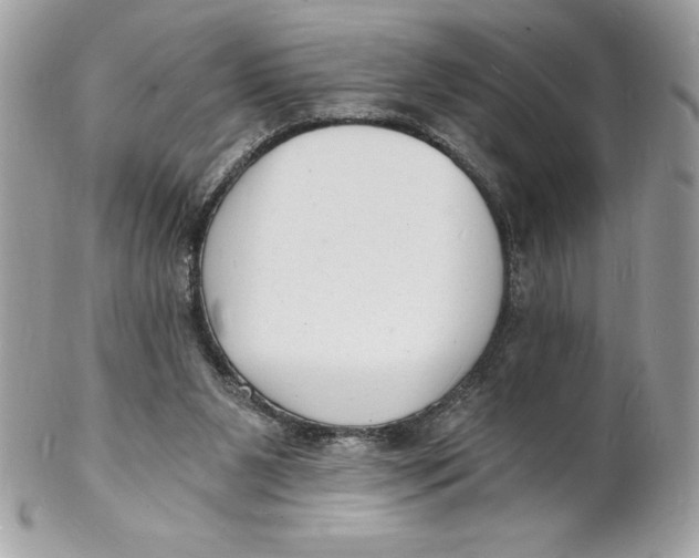 X0000102220111200808151715