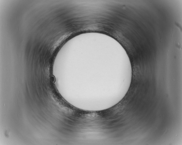 X0000102220112200808151715