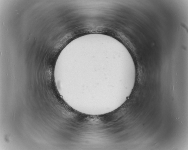 X0000102220113200808151715