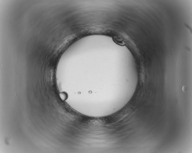 X0000102220115200808151715