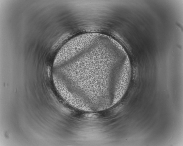 X0000102220117200808151715