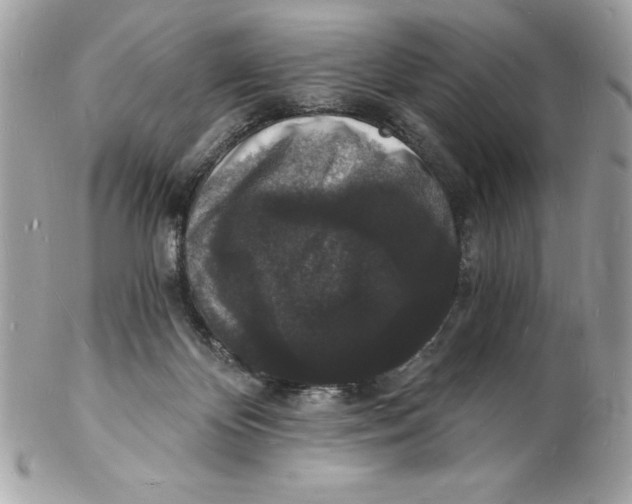 X0000102220124200808151715