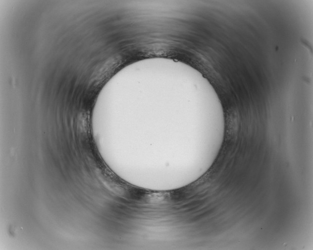 X0000102220126200808151715