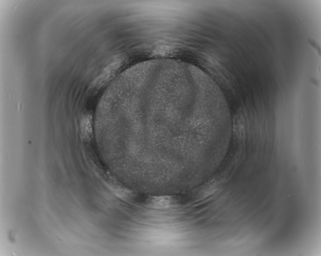 X0000102220127200808151715