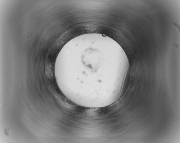 X0000102220136200808151714