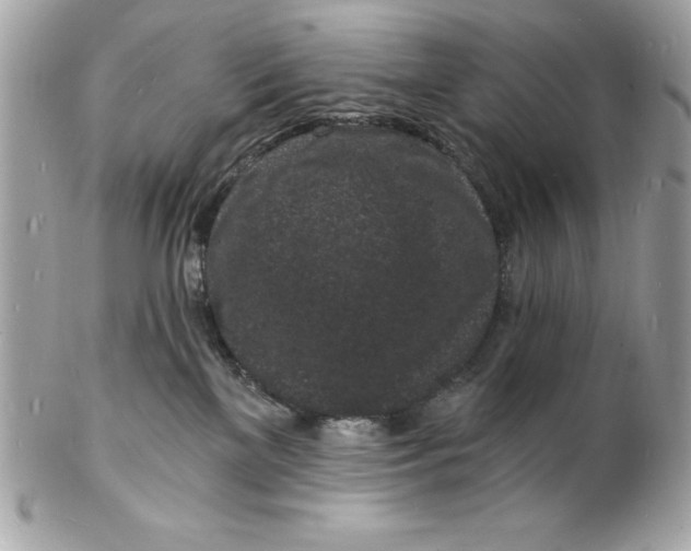 X0000102220137200808151714