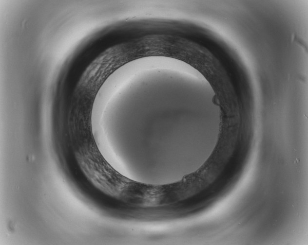 X0000102220143200808151714