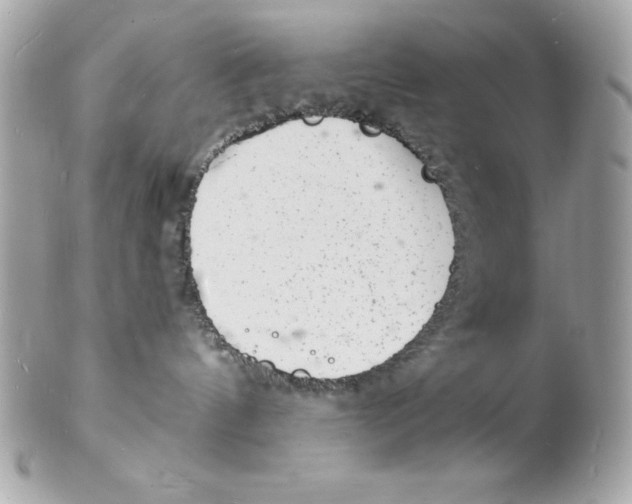 X0000102220144200808151714