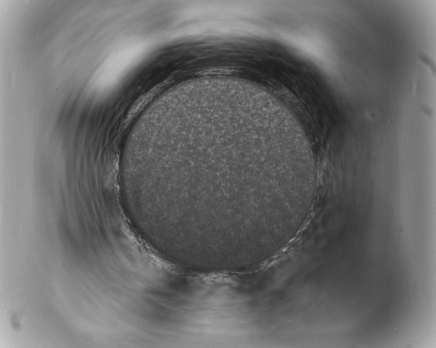 X0000102220146200808151714