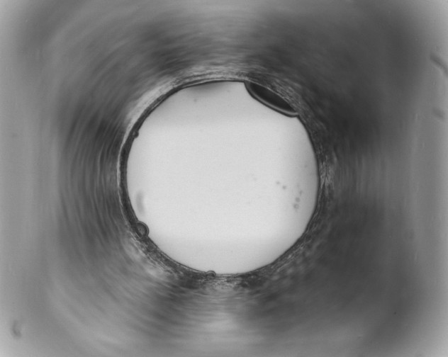 X0000102220148200808151714