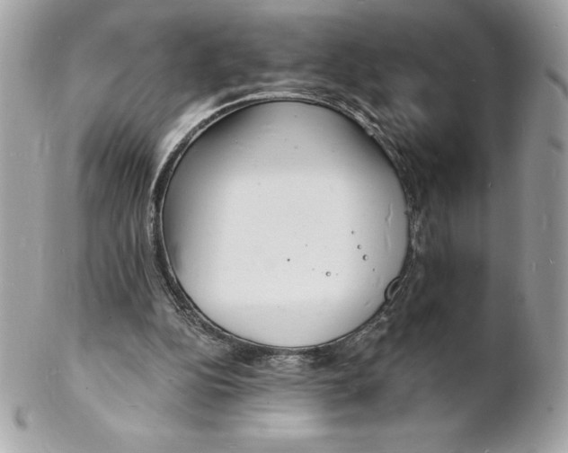 X0000102220152200808151714