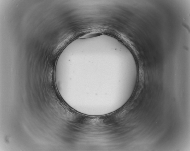 X0000102220153200808151714