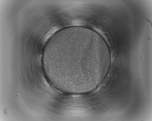 X0000102220154200808151714