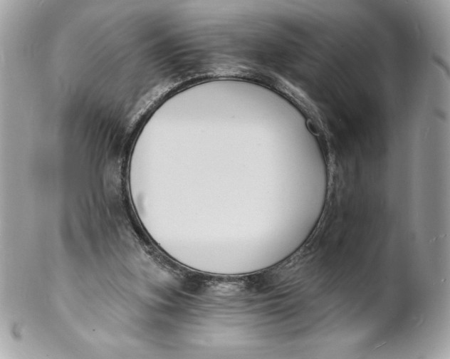 X0000102220155200808151714